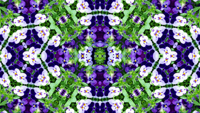 f:id:ando1947:20090508160725j:image