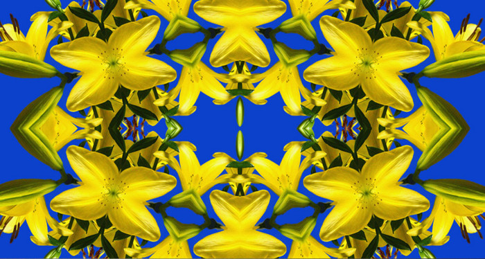 f:id:ando1947:20090509043750j:image