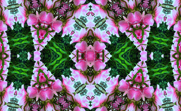 f:id:ando1947:20090510153816j:image