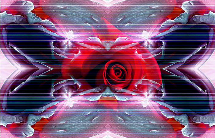 f:id:ando1947:20090515014826j:image f:id:ando1947:20090515014826j:image