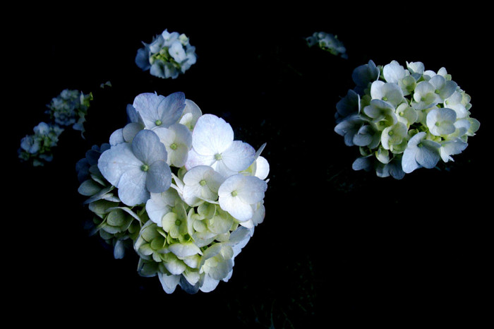 f:id:ando1947:20090531154652j:image