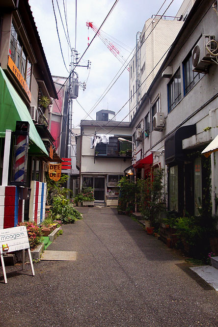 f:id:ando1947:20090603120241j:image f:id:ando1947:20090603120241j:image