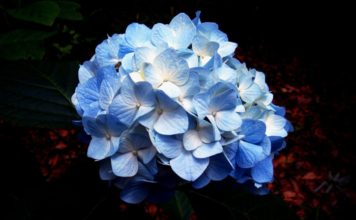 f:id:ando1947:20090604152838j:image