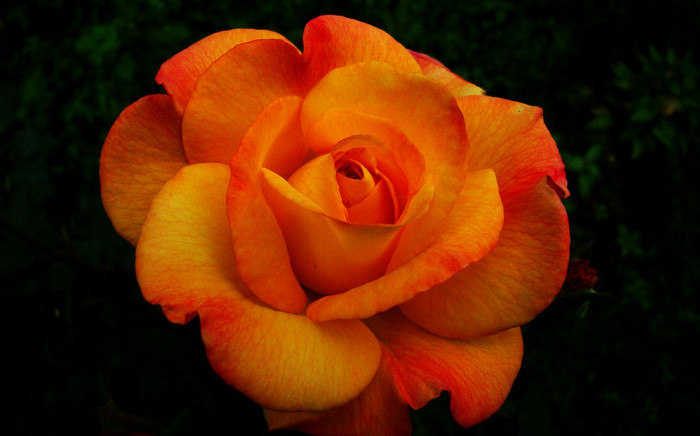 f:id:ando1947:20090604153501j:image