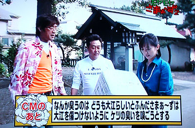 f:id:ando1947:20090605004401j:image
