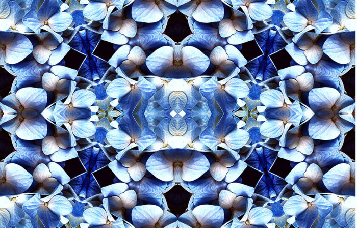 f:id:ando1947:20090605194028j:image f:id:ando1947:20090605194028j:image