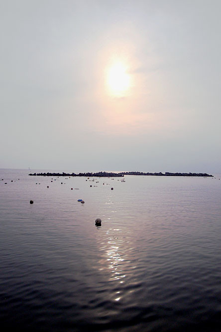 f:id:ando1947:20090609170555j:image f:id:ando1947:20090609170555j:image