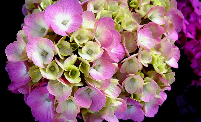 f:id:ando1947:20090611163527j:image