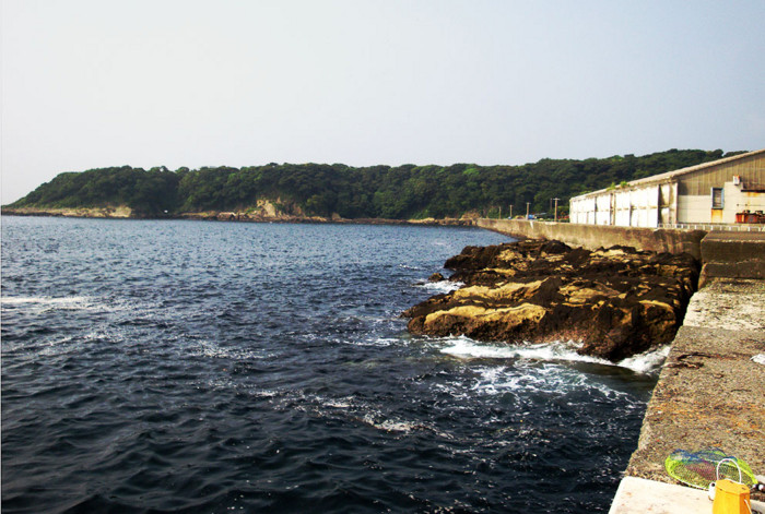 f:id:ando1947:20090615075957j:image f:id:ando1947:20090615075957j:image