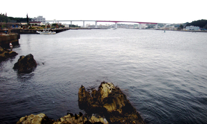 f:id:ando1947:20090615154910j:image f:id:ando1947:20090615154910j:image