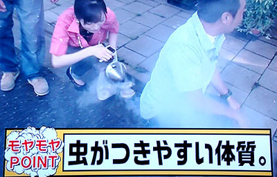 f:id:ando1947:20090619001514j:image