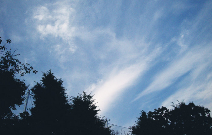 f:id:ando1947:20090626174033j:image