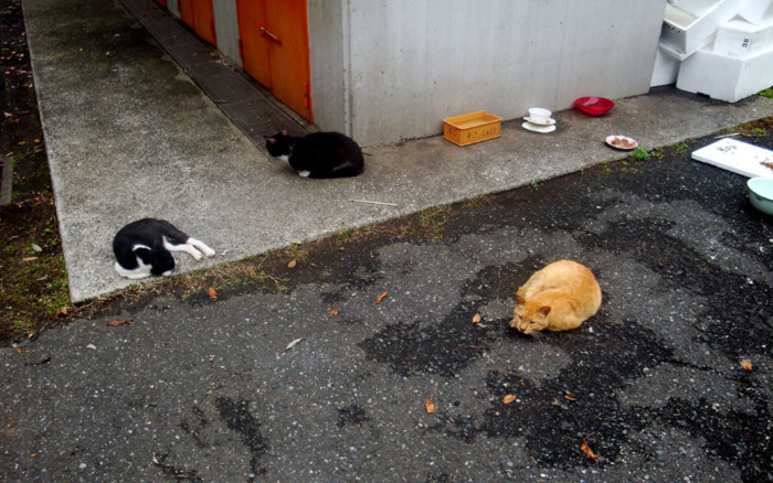 f:id:ando1947:20090630150202j:image f:id:ando1947:20090630150202j:image
