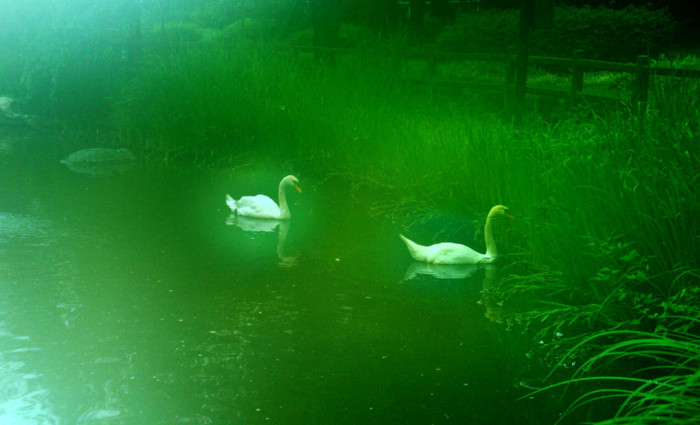 f:id:ando1947:20090701155339j:image