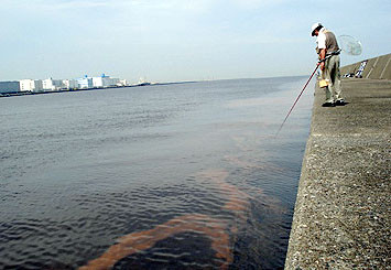 f:id:ando1947:20090712233945j:image f:id:ando1947:20090712233945j:image