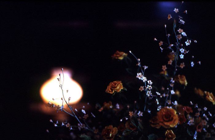 f:id:ando1947:20090723023302j:image