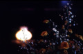 20090723023302