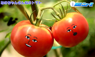 f:id:andomasakazu:20170827210451j:image