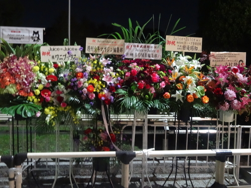 f:id:andomasakazu413:20181229191753j:plain