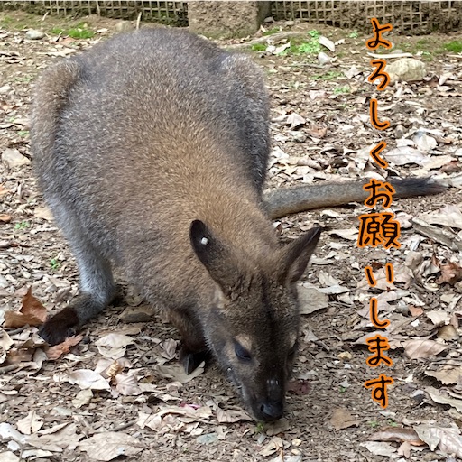 f:id:andomio:20201107205822j:image