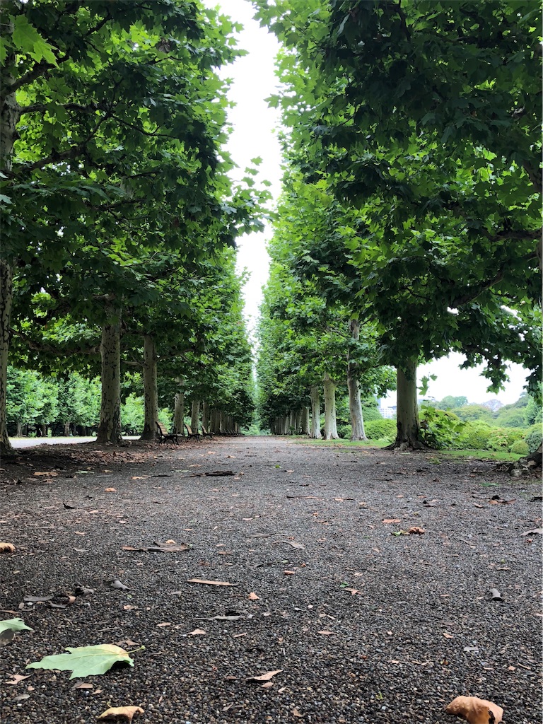 f:id:andoshin11:20180817093137j:image f:id:andoshin11:20180817093137j:image