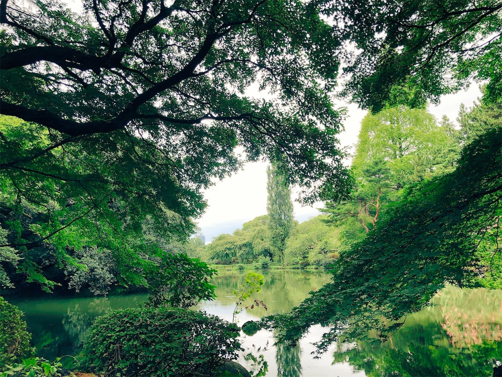 f:id:andoshin11:20180817093152j:image f:id:andoshin11:20180817093152j:image