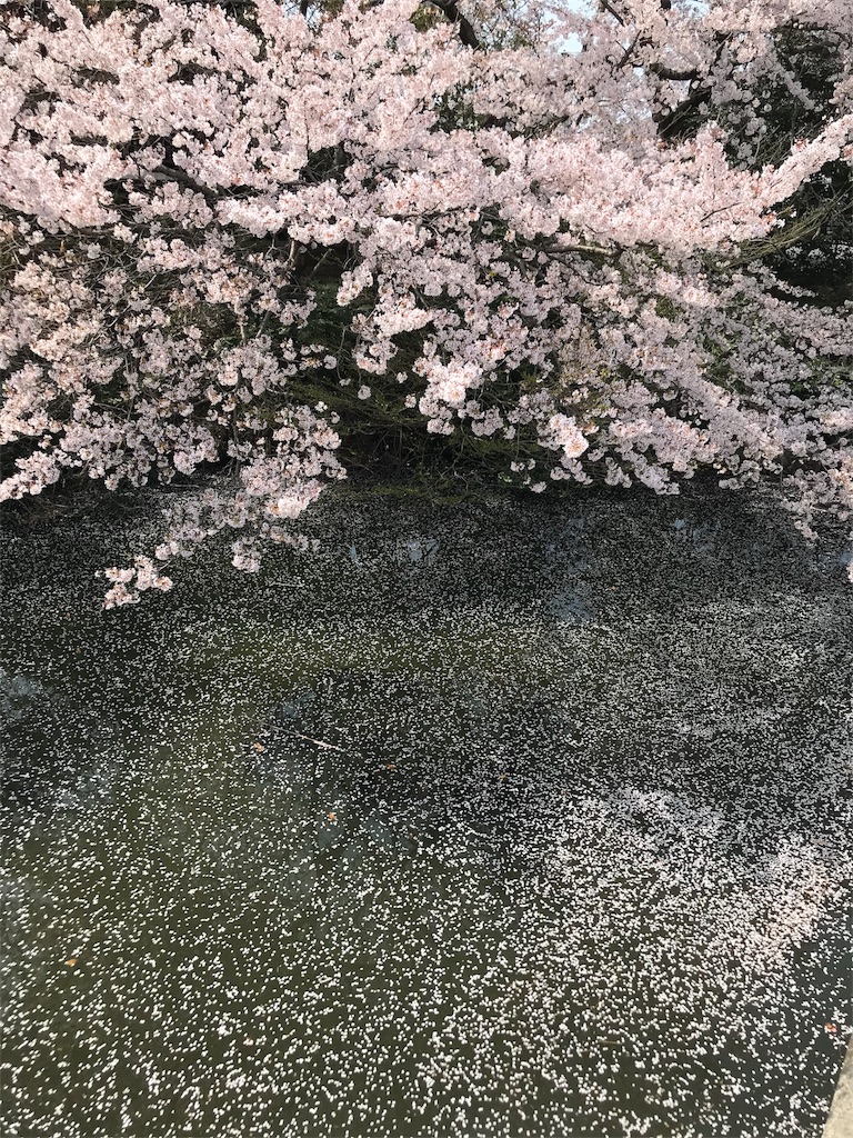 f:id:andouisao:20180402133854j:image