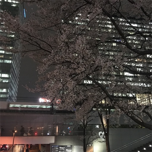 f:id:andoumichifo:20190502130432j:image f:id:andoumichifo:20190502130432j:image