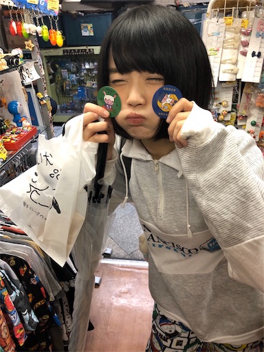 f:id:andoumichifo:20191126210026j:image