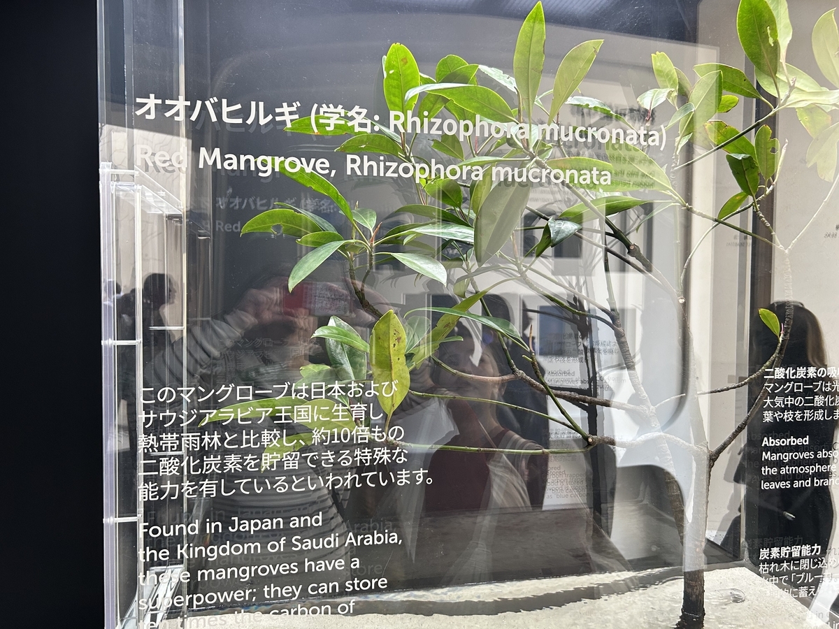 関西万博