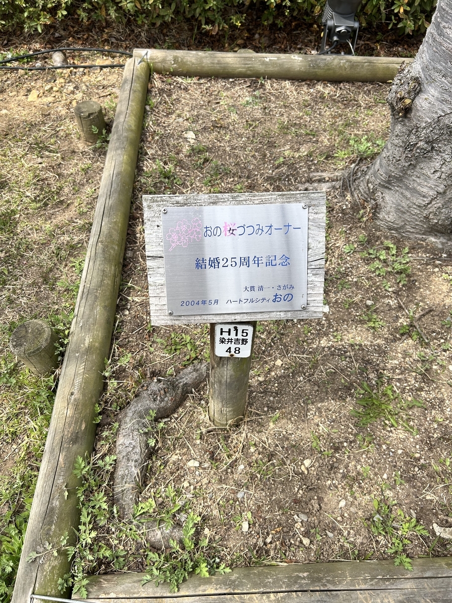 おの桜づつみ回廊