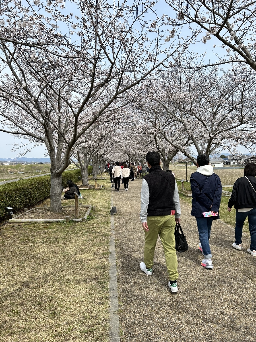 おの桜づつみ回廊