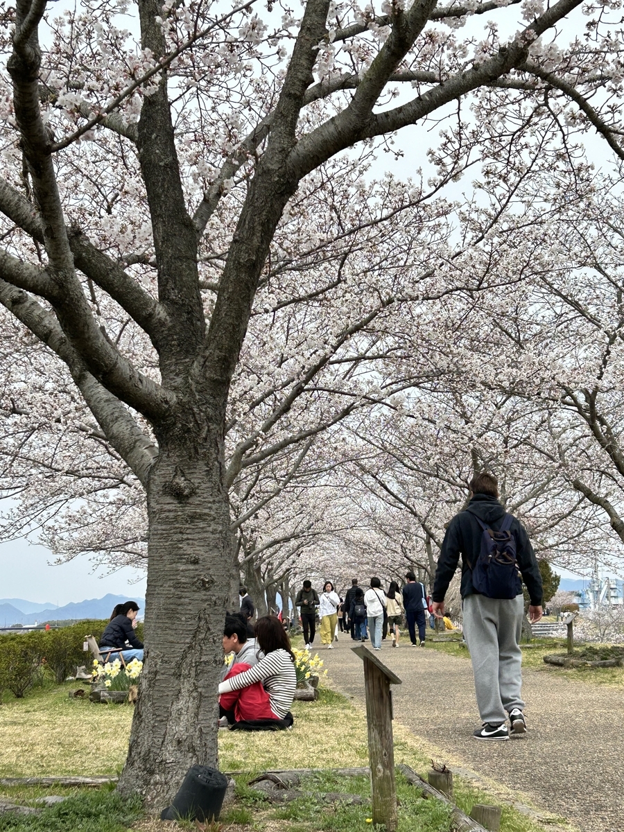 おの桜づつみ回廊