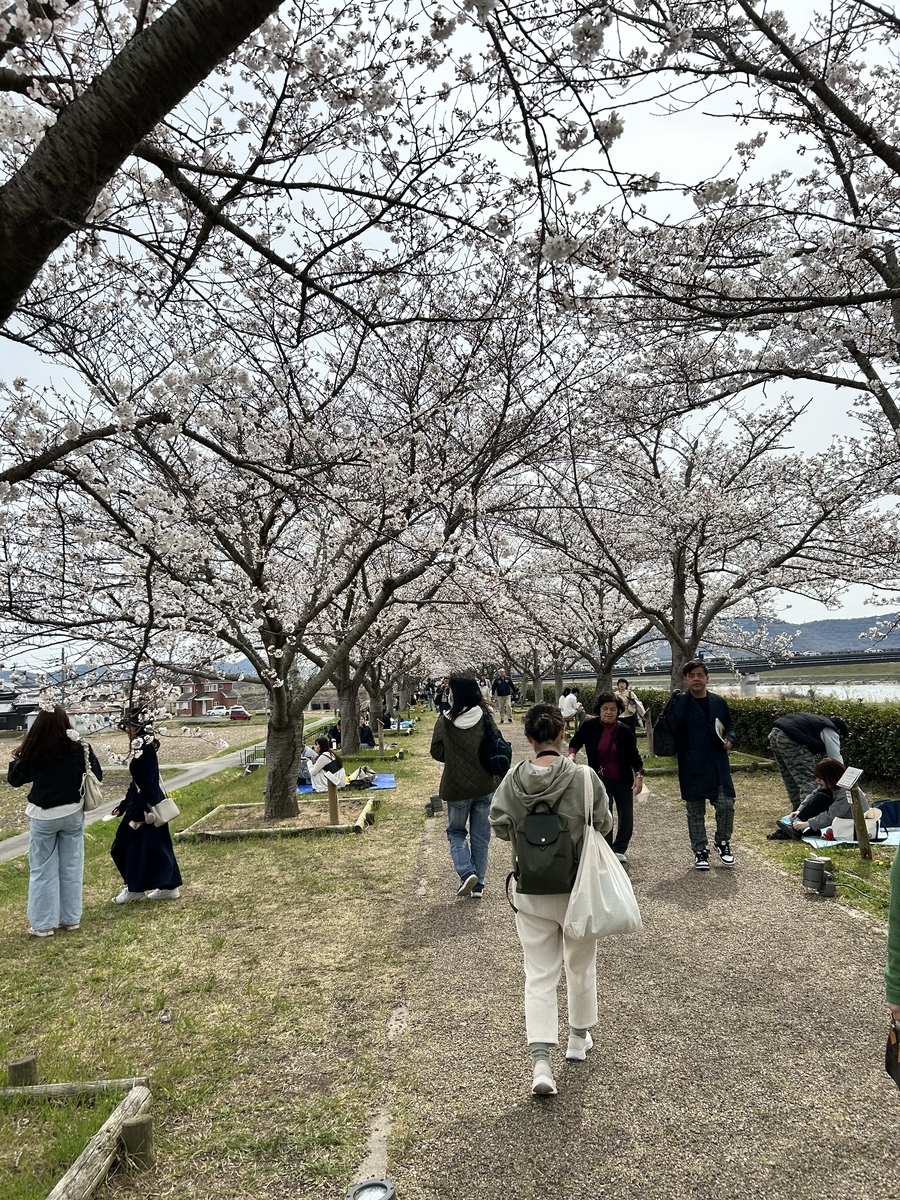 おの桜づつみ回廊