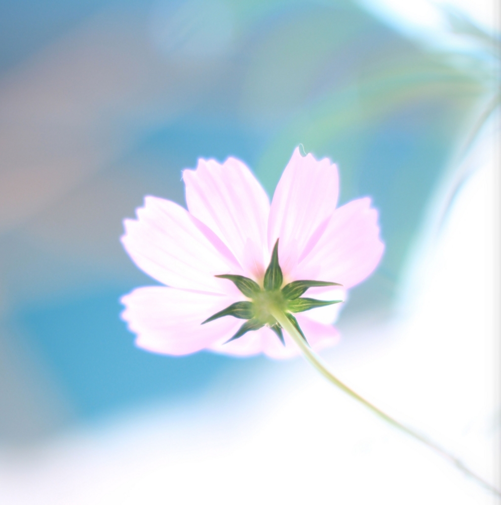 f:id:andplusonelife:20180126194452j:plain