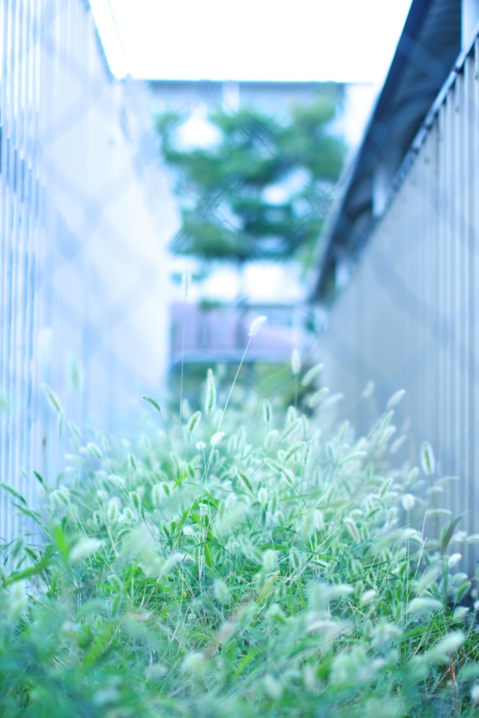 f:id:andplusonelife:20180126194747j:plain