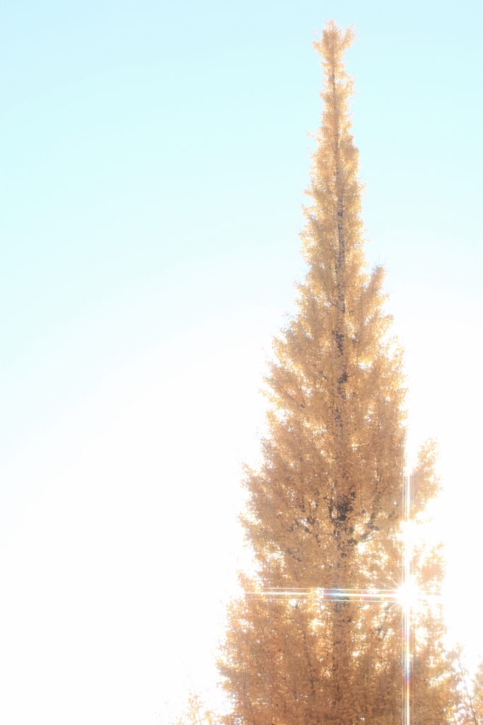 f:id:andplusonelife:20180126194950j:plain