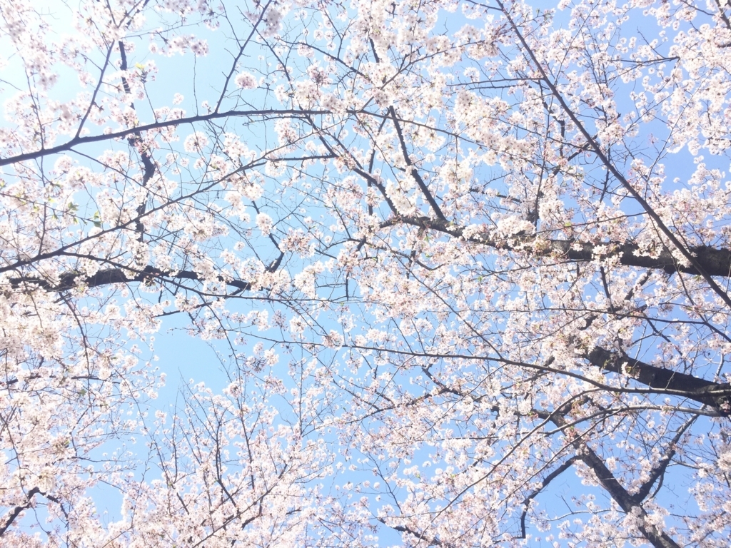 f:id:andplusonelife:20180402055154j:plain