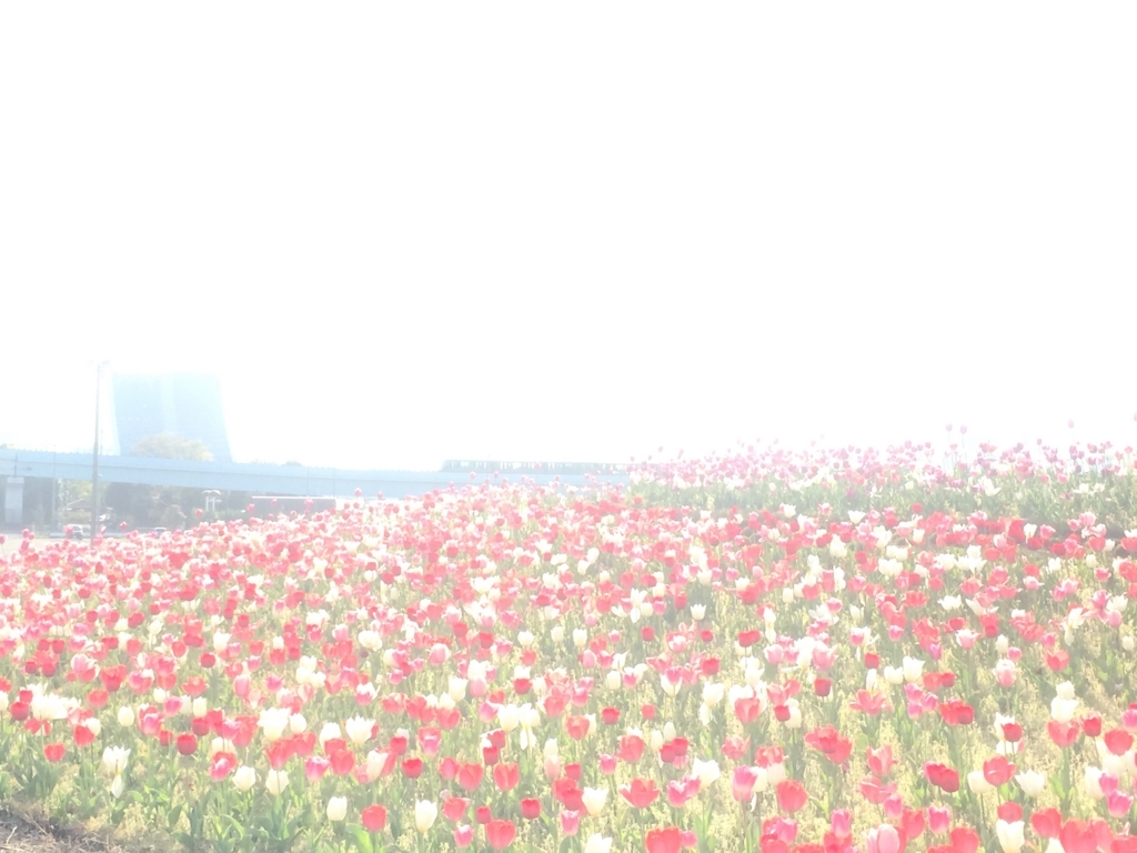 f:id:andplusonelife:20180402055210j:plain