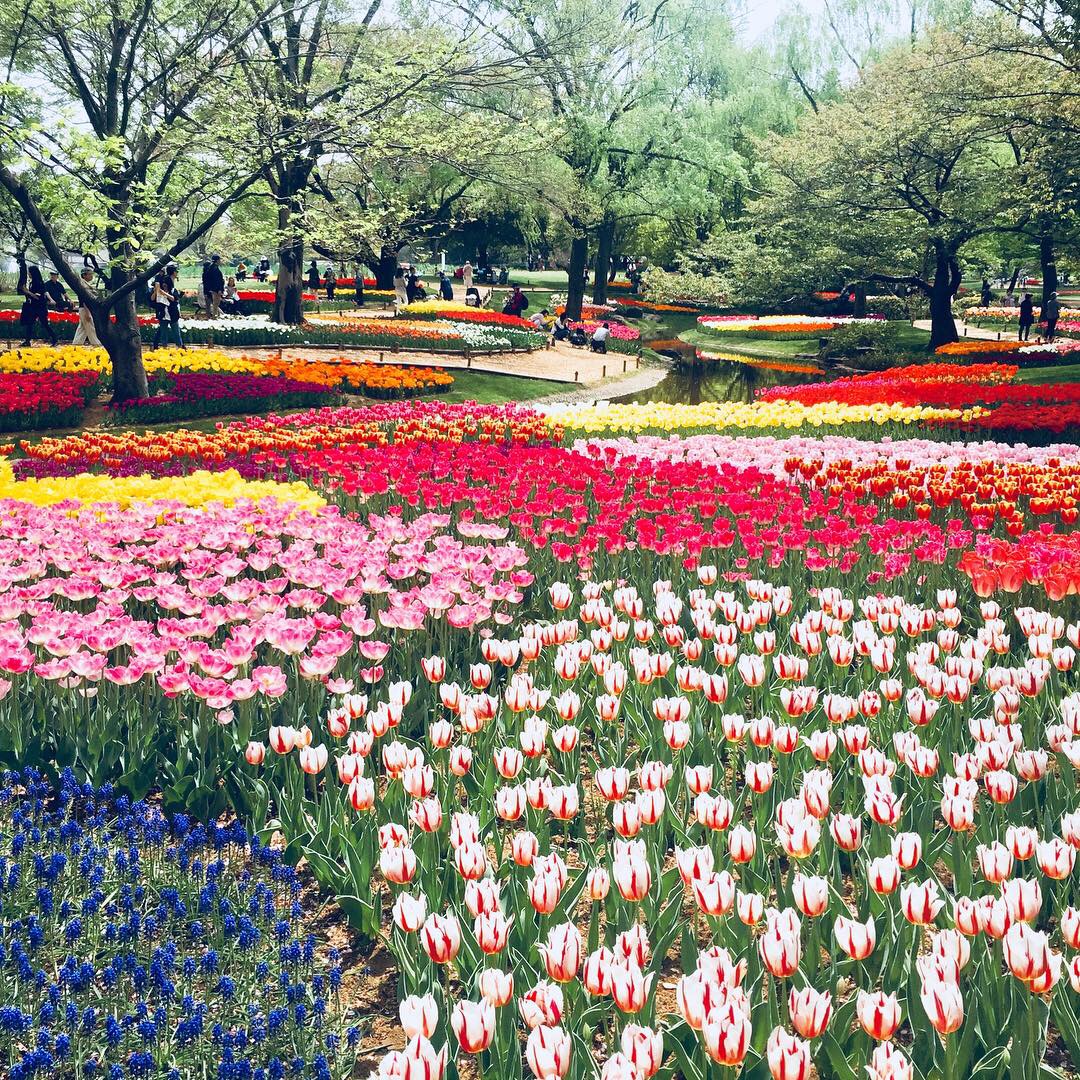 f:id:andplusonelife:20190421205146j:plain