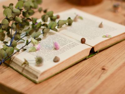 f:id:andplusonelife:20200123104328j:plain