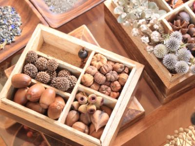 f:id:andplusonelife:20200123104426j:plain