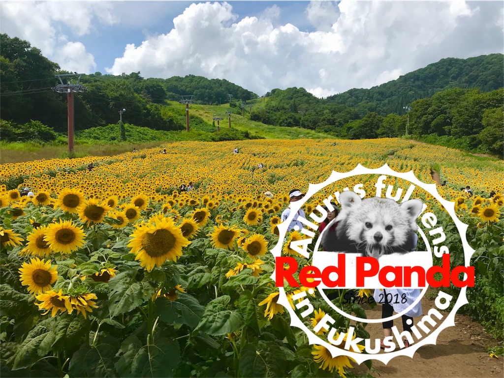 福島県 喜多方 三ノ倉高原ひまわり畑に行ってきた話 あかパンダブログ
