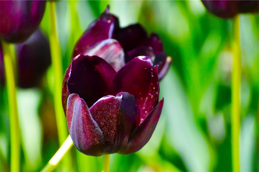 f:id:andrewndgt:20190504115906j:image f:id:andrewndgt:20190504115906j:image