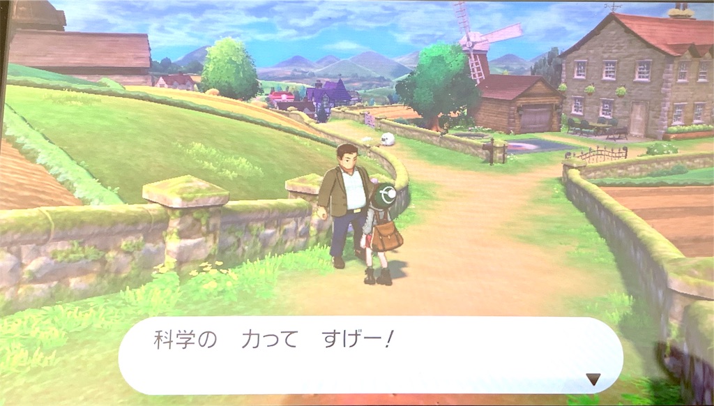 新作ポケモン ソード シールドをやってみた あかパンダブログ