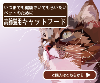 f:id:andron:20201008233728p:plain f:id:andron:20201008233728p:plain