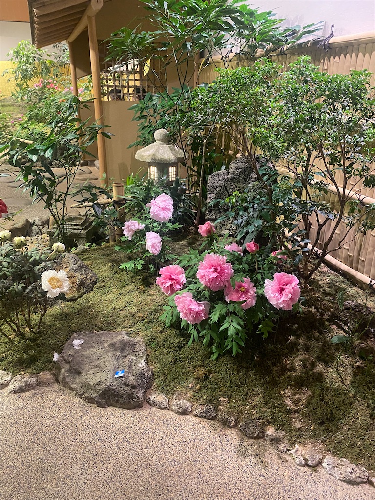 f:id:andusagi:20230724234451j:image
