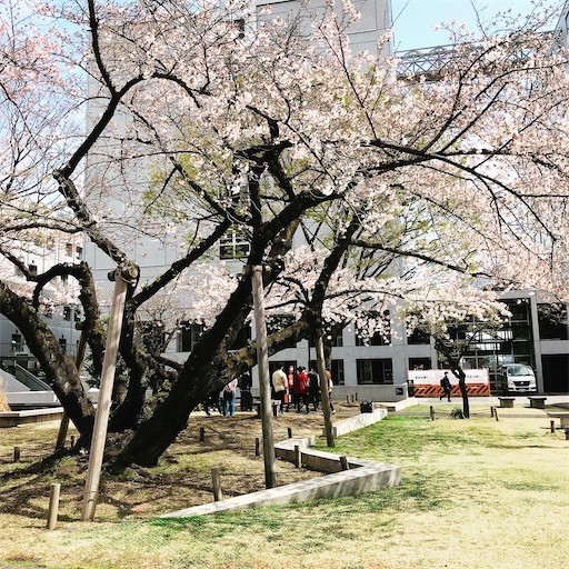 f:id:andy-e49er:20210322142121j:image