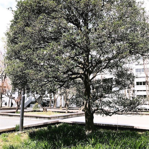 f:id:andy-e49er:20210322142213j:image