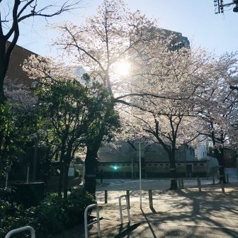 f:id:andy-e49er:20210326073209j:plain